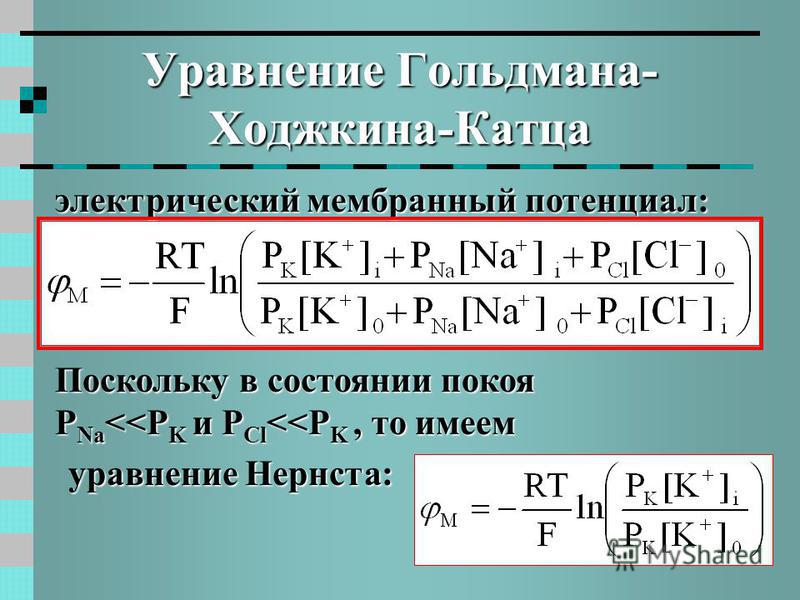 Уравнение Гольдмана- Ходжкина-Катца электрический мембранный потенциал: уравнение Нернста: Поскольку в состоянии покоя P Na 