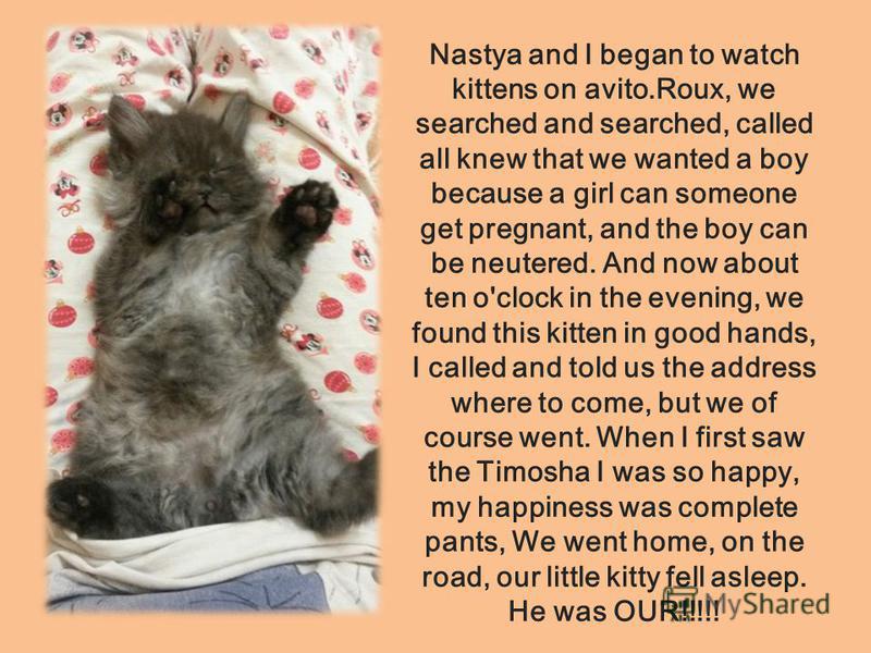 Nastya and I began to watch kittens on avito.Roux, we searched and searched, called all knew that we wanted a boy because a girl can someone get pregnant, and the boy can be neutered. And now about ten o'clock in the evening, we found this kitten in 