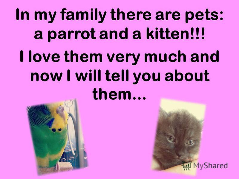 In my family there are pets: a parrot and a kitten!!! I love them very much and now I will tell you about them...