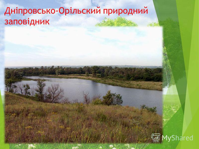 Дніпровсько-Орільский природний заповідник
