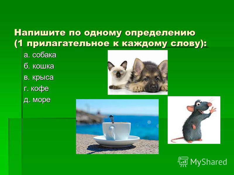 Напишите по одному определению (1 прилагательное к каждому слову): а. собака б. кошка в. крыса г. кофе г. кофе д. море