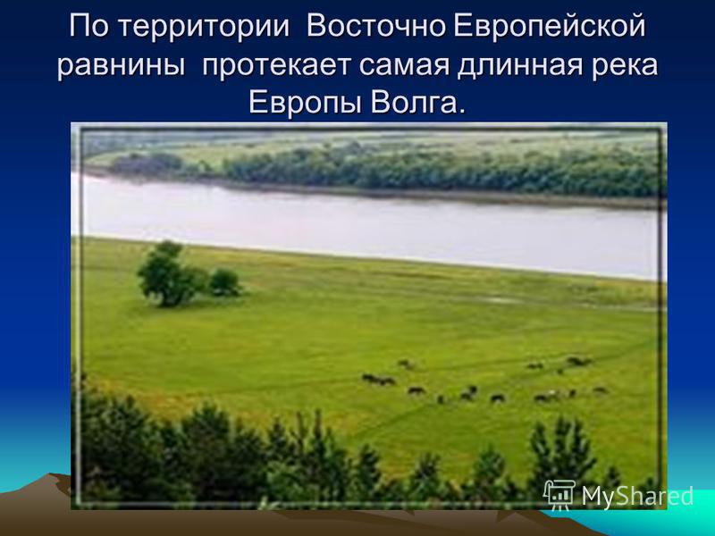 По территории Восточно Европейской равнины протекает самая длинная река Европы Волга.