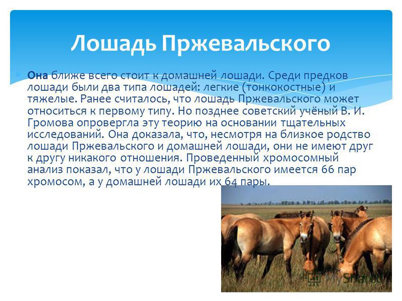 Вяжущее вещество бетон Вяжущее вещество бетон