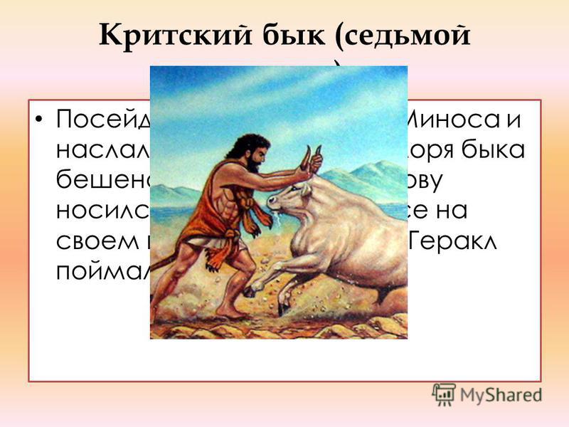Критский бык (седьмой подвиг) Посейдон разгневался на Миноса и наслал на вышедшего из моря быка бешенство. По всему острову носился бык и уничтожал все на своем пути. Великий герой Геракл поймал быка и укротил.
