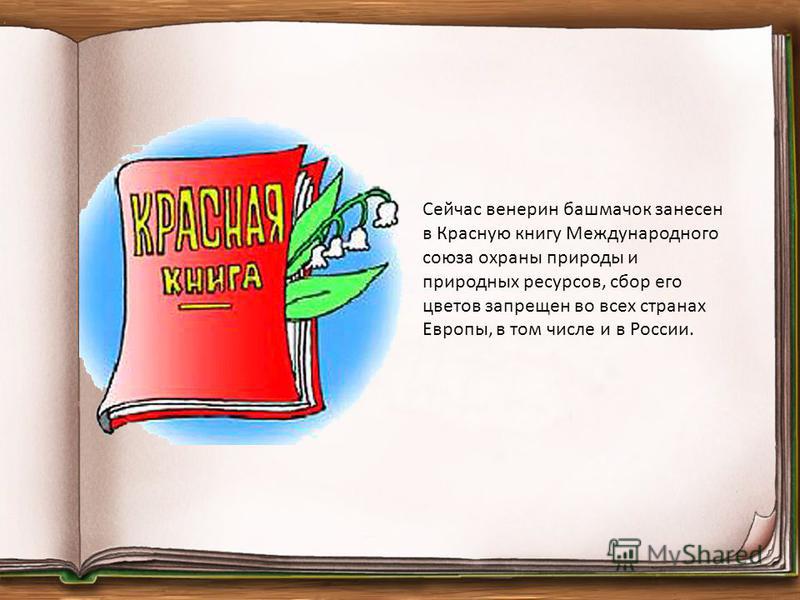 Сейчас венерин башмачок занесен в Красную книгу Международного союза охраны природы и природных ресурсов, сбор его цветов запрещен во всех странах Европы, в том числе и в России.