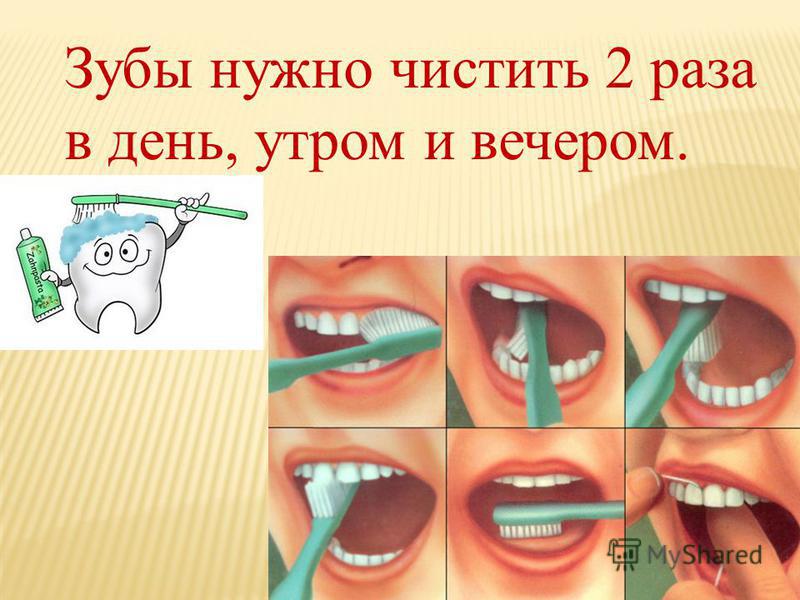 Зубы нужно чистить 2 раза в день, утром и вечером.