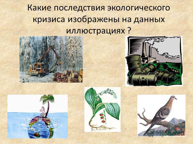 Какие последствия экологического кризиса изображены на данных иллюстрациях ?