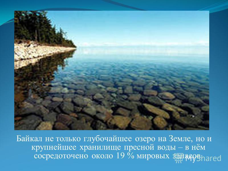 Байкал не только глубочайшее озеро на Земле, но и крупнейшее хранилище пресной воды – в нём сосредоточено около 19 % мировых запасов.