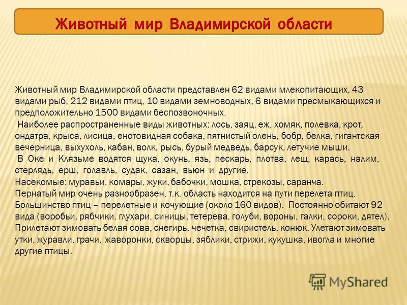 Владимирские книги скачать
