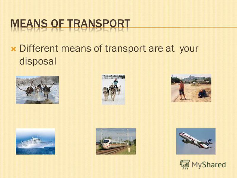 Different means of transport are at your disposal