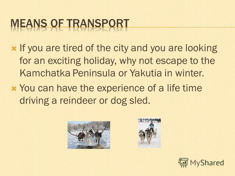 If you are tired of the city and you are looking for an exciting holiday, why not escape to the Kamchatka Peninsula or Yakutia in winter. You can have the experience of a life time driving a reindeer or dog sled.