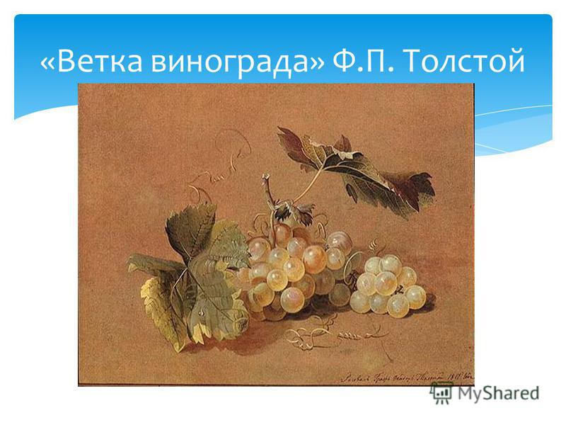 «Ветка винограда» Ф.П. Толстой