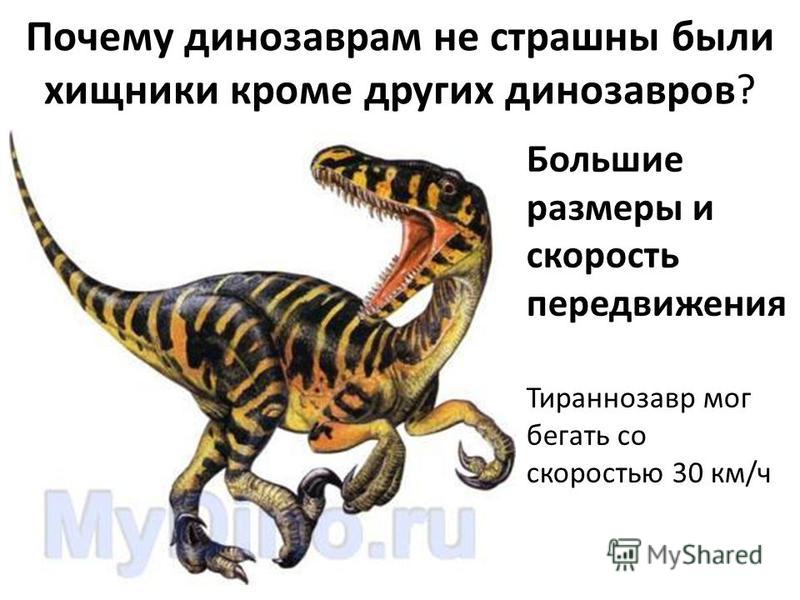 Почему динозаврам не страшны были хищники кроме других динозавров? Большие размеры и скорость передвижения Тираннозавр мог бегать со скоростью 30 км/ч
