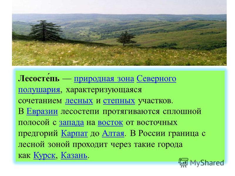 Презентация к уроку окружающего мира во 2 классе природная зональность