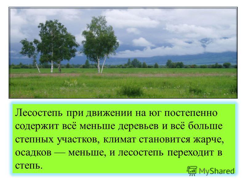 Презентация На Тему Лесостепи И Степи России Презентация На Тему Лесостепи И Степи России