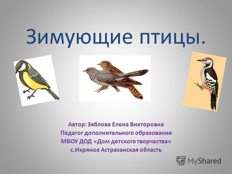 Презентация на тему: Презентация к занятию по окружающему миру (средняя  группа) по теме: Зимующие птицы Презентация.. Скачать бесплатно и без  регистрации.
