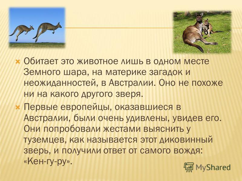 Презентация рисуем животных 1 класс