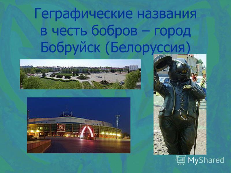 Геграфические названия в честь бобров – город Бобруйск (Белоруссия)