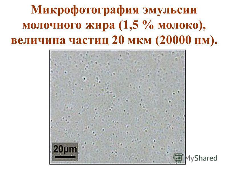 Микрофотография эмульсии молочного жира (1,5 % молоко), величина частиц 20 мкм (20000 нм).