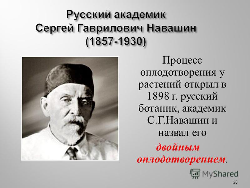 Процесс оплодотворения у растений открыл в 1898 г. русский ботаник, академик С. Г. Навашин и назвал его двойным оплодотворением. 20