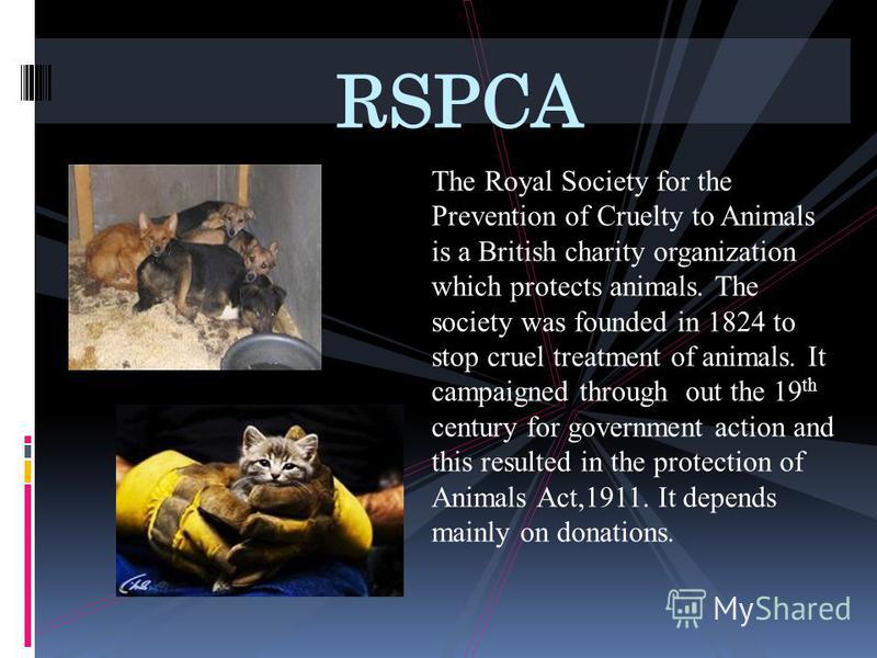The Royal Society for the Prevention of Cruelty to Animals is a British charity organization which protects animals. The society was founded in 1824 to stop cruel treatment of animals. It campaigned through out the 19 th century for government action