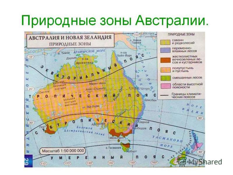 Картинки природа 7 класс Картинки природа 7 класс