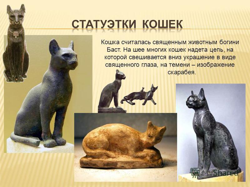 Почему в древнем египте кошка священное животное Почему в древнем египте кошка священное животное