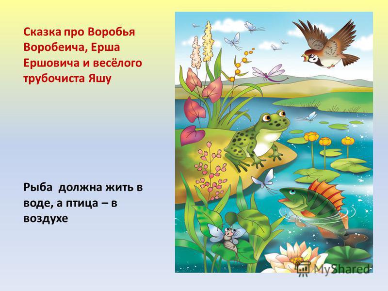 Сказка про Воробья Воробеича, Ерша Ершовича и весёлого трубочиста Яшу Рыба должна жить в воде, а птица – в воздухе