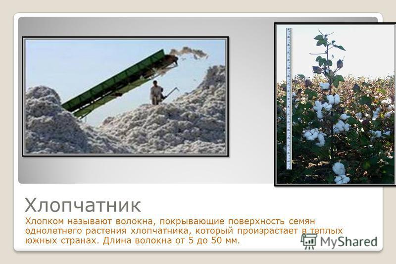 Как убрать клей "Момент " с рук? Методы и советы Как сделать самодельный пресс для винограда. - Блог - Винный турист