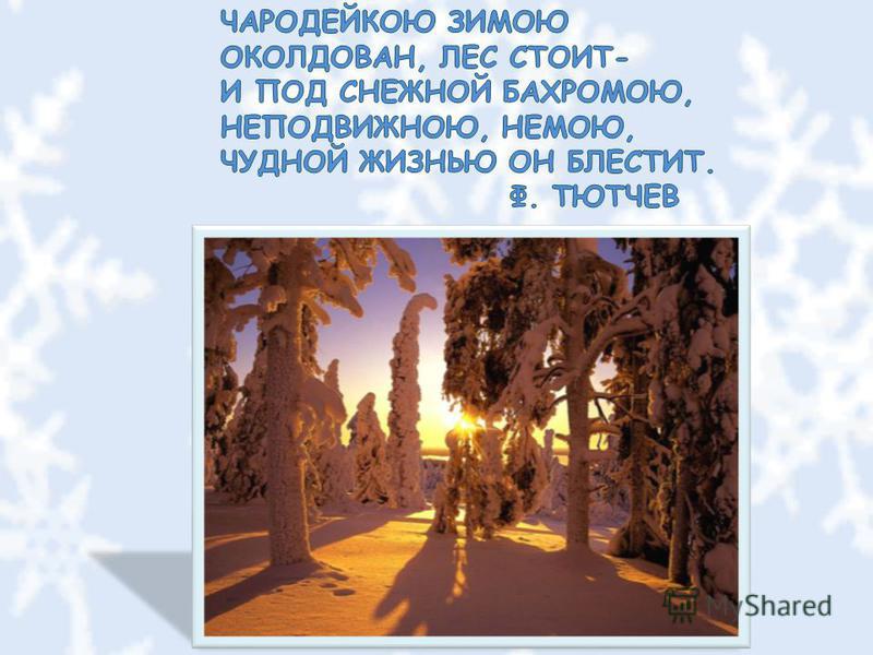 Xxix всероссийские олимпиада по биологии 10-11 класс 20012-2018 задания