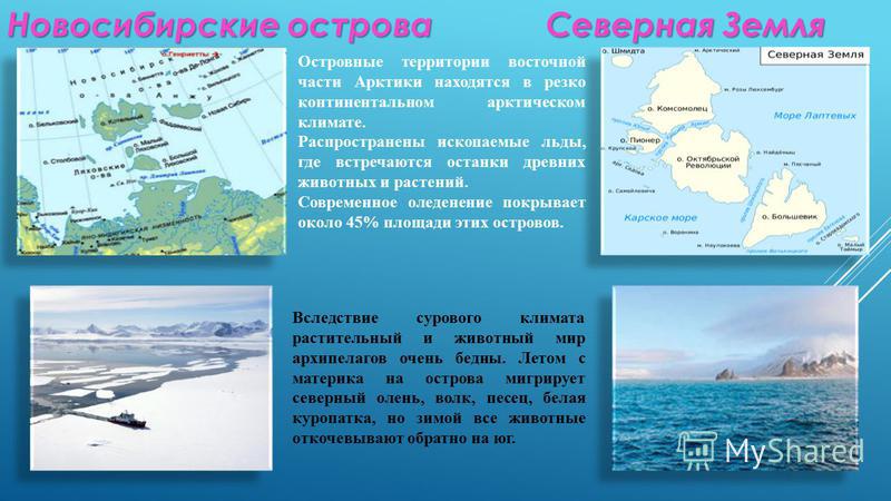 Новосибирские острова Северная Земля Островные территории восточной части Арктики находятся в резко континентальном арктическом климате. Распространены ископаемые льды, где встречаются останки древних животных и растений. Современное оледенение покры