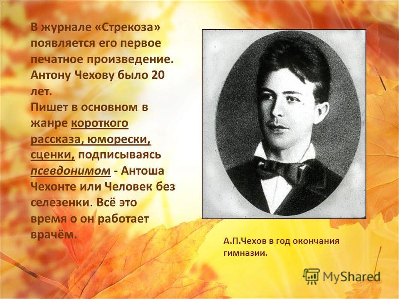 Главный врач поликлиники 5 в тюмени