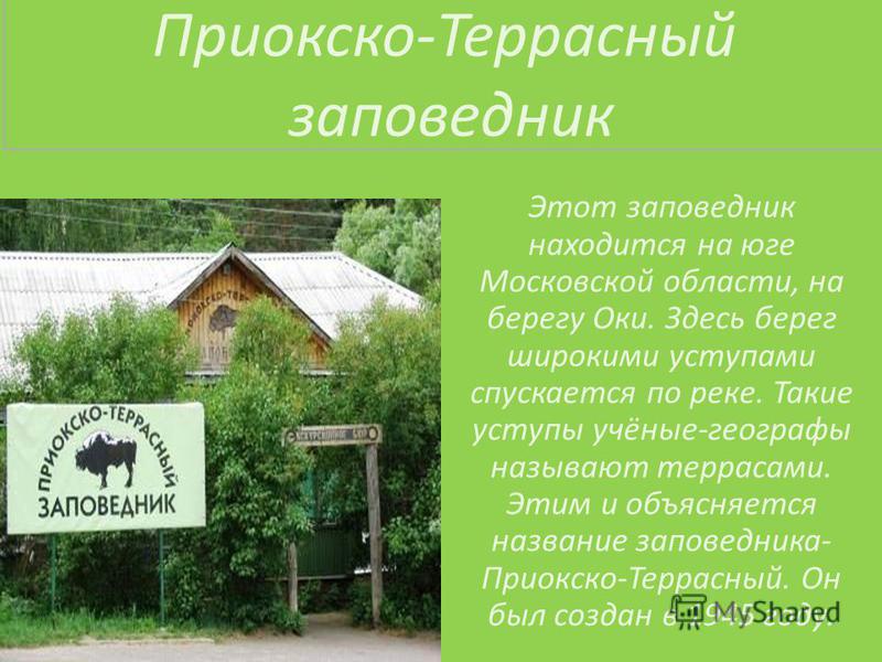 Проект приокско террасный заповедник 4 класс Приокско-террасный заповедник где находиться