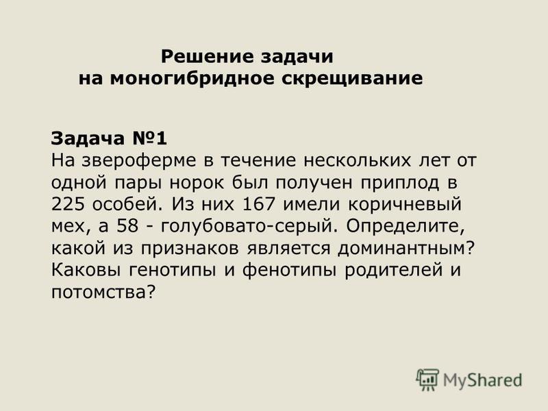Примеры задач на моногибридное скрещивание Задачи Моногибридное Скрещивание - 80 фото