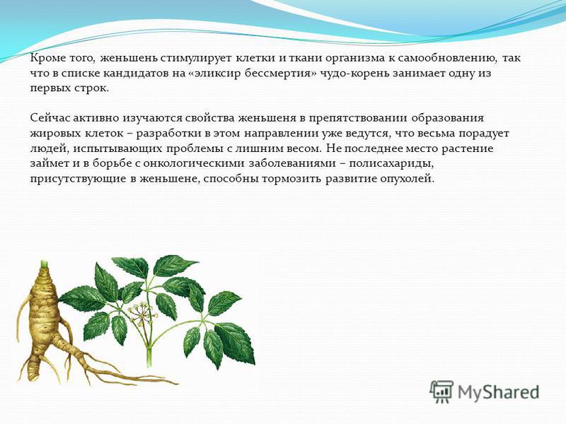 Причина боли грудных желез в 50 лет