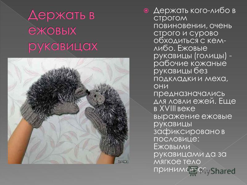 Поздравления на свадьбу про ежовые рукавицы