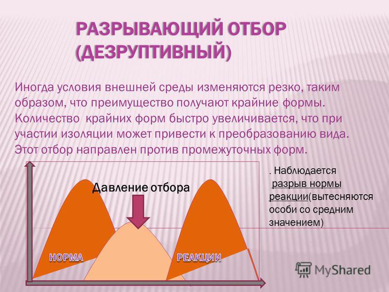 Презентацию естественный отбор