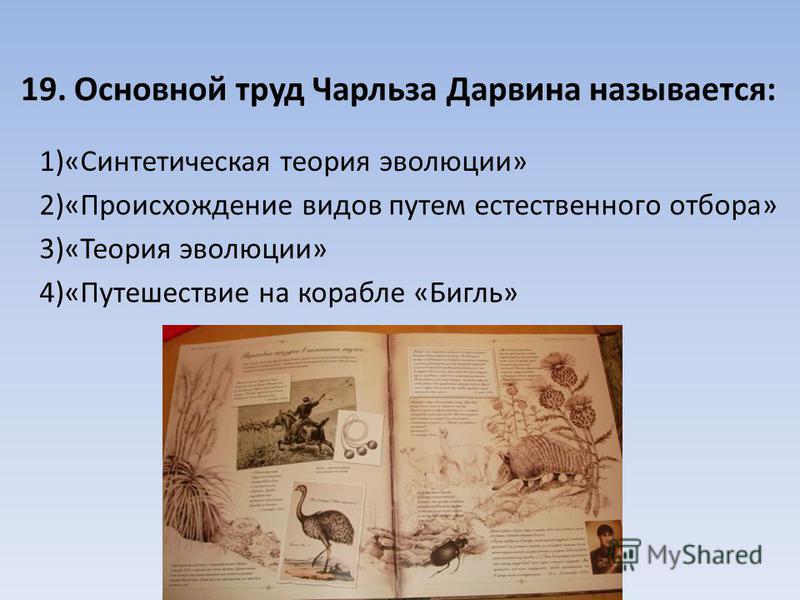 борьба паразитами человека борьба паразитами человека