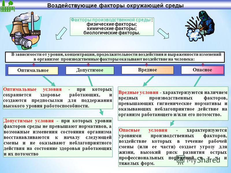 Вредный и опасный производственные факторы для повора едва мог