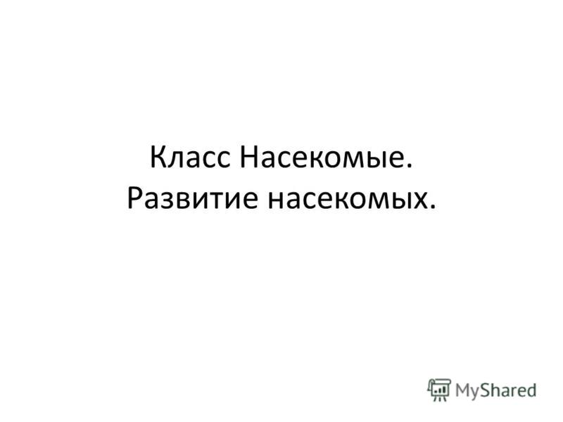 Скачать Бесплатно Презентацию По Насекомым