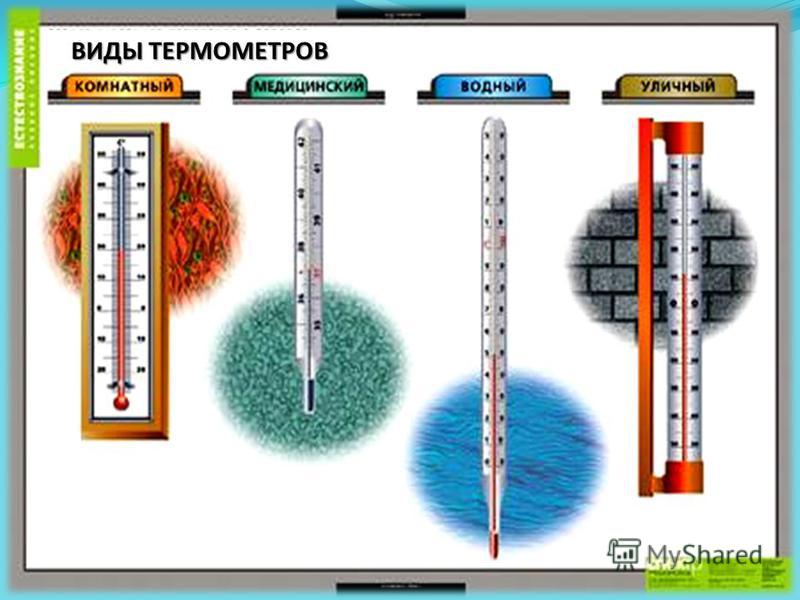 Презентация на тему: "Презентация к уроку по окружающему миру (2 класс ...