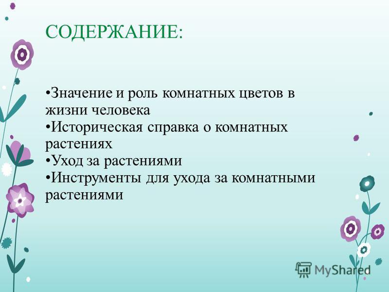 Комнатные растения в интерьере квартиры к уроку Комнатные растения в интерьере квартиры к уроку