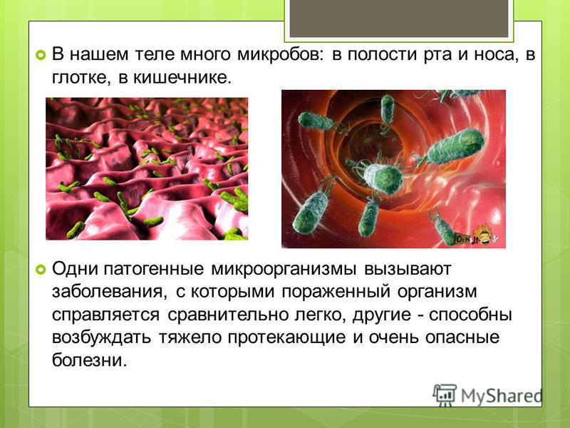 микроорганизмы вызывающие неприятный запах изо рта микроорганизмы вызывающие неприятный запах изо рта