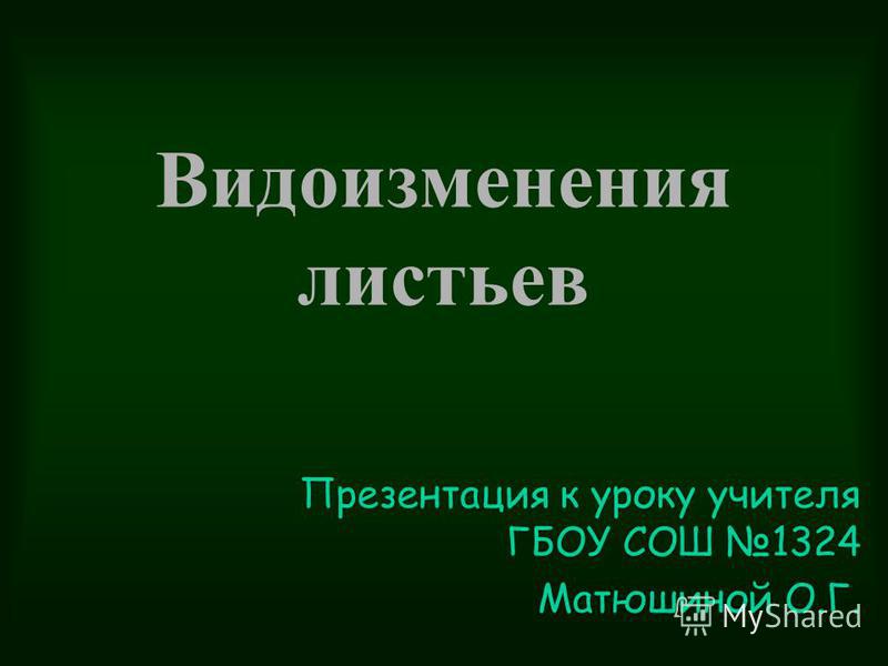 Видоизменения листьев презентация к уроку в 6 классе