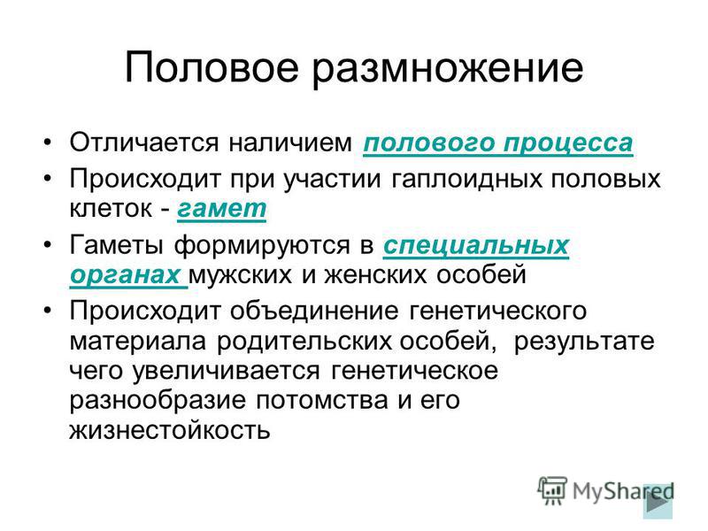 размножение половое картинки онлайн размножение половое картинки