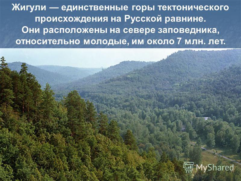 жигулевский горы презентация