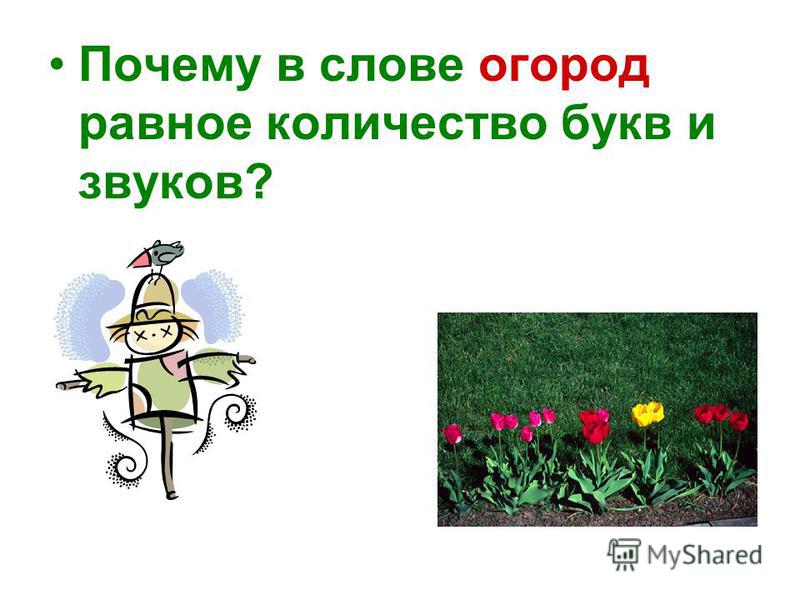 Куплю банан семена Куплю банан семена