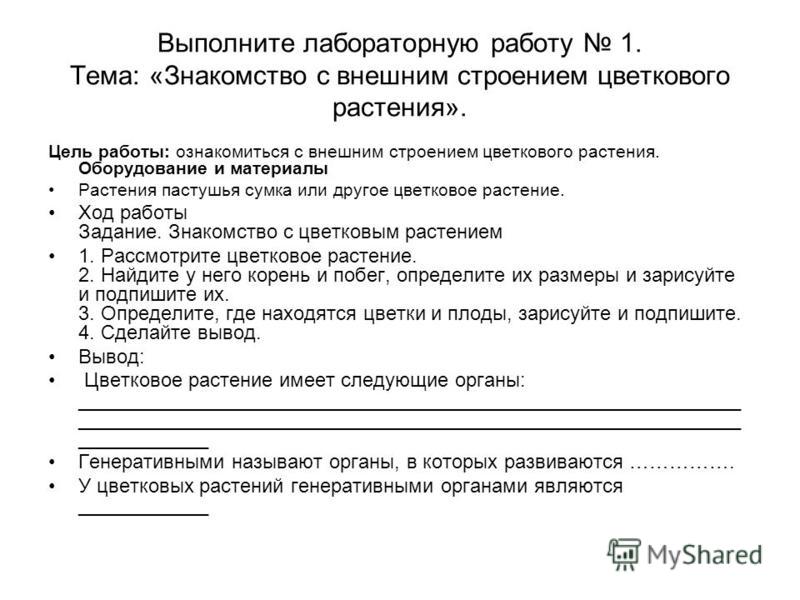 Скачать лабораторную работу по биологии 6 класс