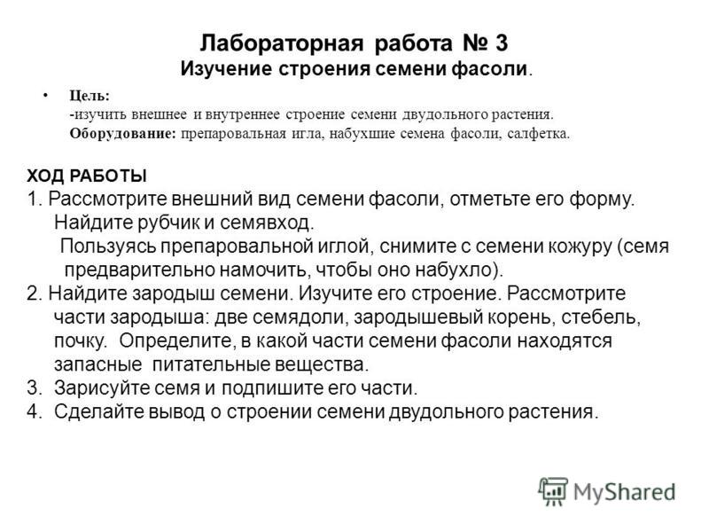 Готовая лабораторная работа по биологии пономарева 6 класс строение цветка