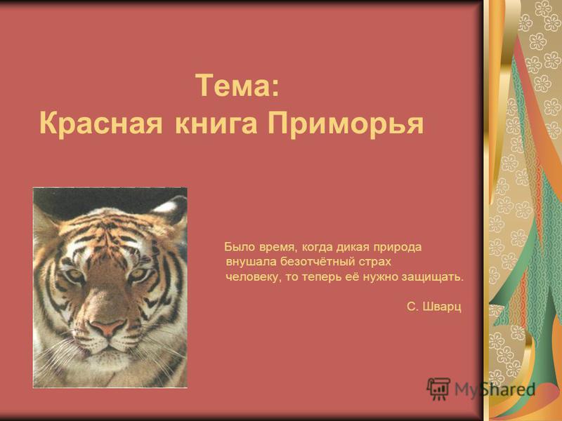 Сообщение и рисунок о животном из красной книги (49 фото) » рисунки для срисовки на manikyrsha.ru